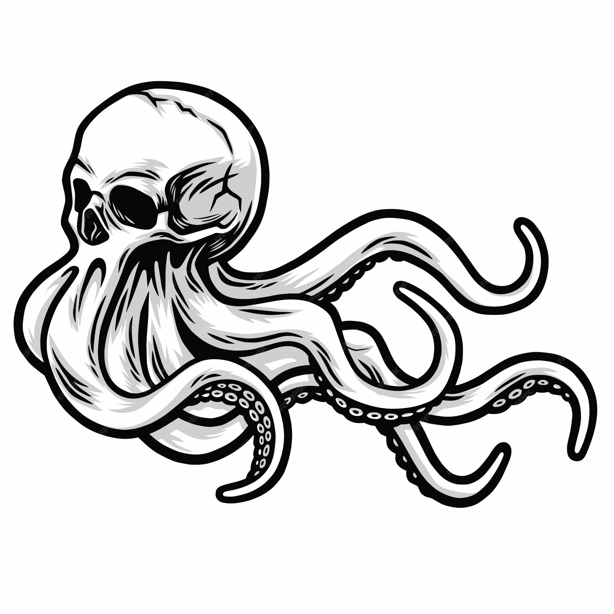 Cráneo pulpo tentáculos kraken monstruo marino calamar ilustración  octoskull premium vector art drawing | Vector Premium