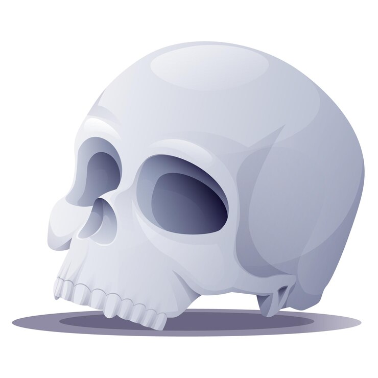 Vector cráneo sobre un fondo blanco ilustración vectorial de dibujos animados para las vacaciones de halloween aterrador y terrible