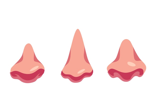 Creación de avatar de elemento de construcción de cara con partes de cabeza Conjunto de dibujos animados de vector de narices Paquete de partes de cabeza para generador de cara aislado sobre fondo blanco
