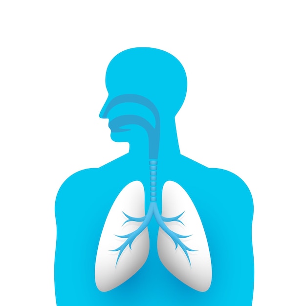 Vector creativo de arte médico de pulmones humanos. ilustración vectorial