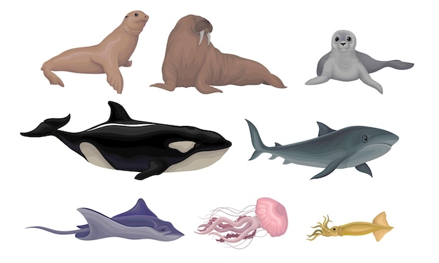 Creaturas marinas Vector Ilustración de volumen Conjunto de animales vivos bajo el agua Colección conceptual