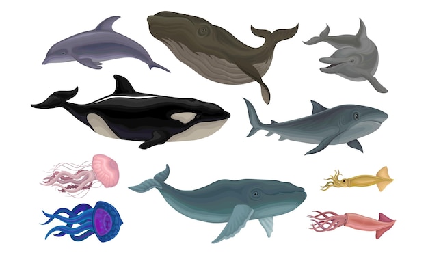 Creaturas marinas Vector Ilustración de volumen Conjunto de animales vivos bajo el agua Colección conceptual