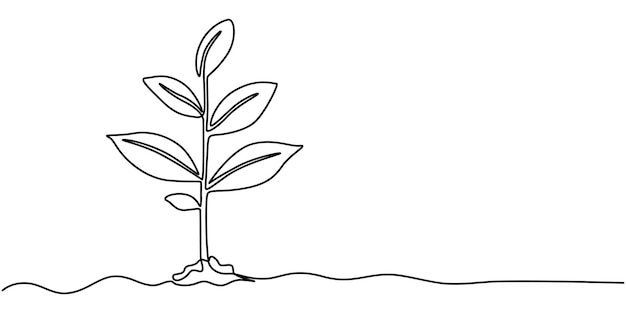 Crecimiento de brotes de arte de línea continua aislado en fondo blanco Ilustración vectorial de la planta