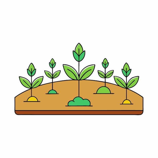 El crecimiento de las plantas en las granjas implica el cultivo de cultivos utilizando la luz solar, los nutrientes del agua y el cuidado