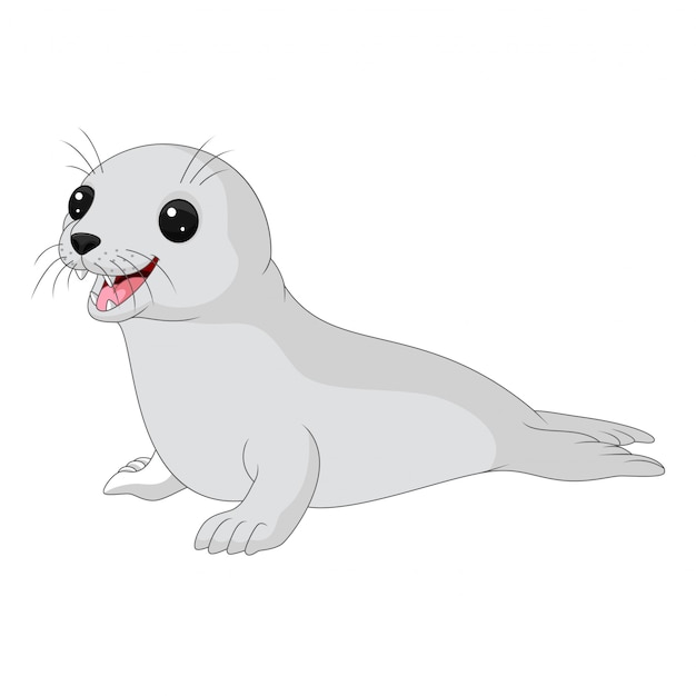 Vector cría de foca de dibujos animados sobre fondo blanco