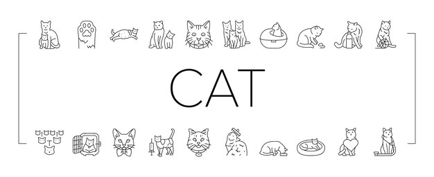 la cría de gatos la genética de los iconos de los gatos el vector del conjunto