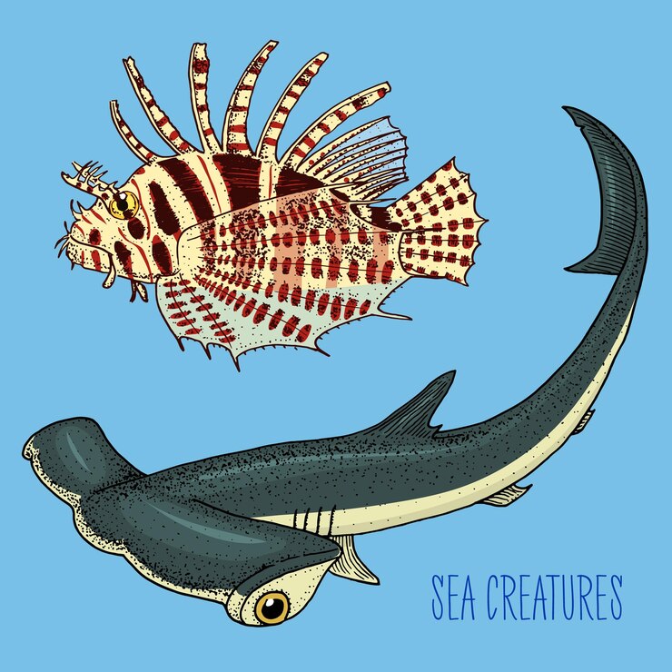 Vector criatura marina pez león rojo y gran tiburón martillo grabado a mano dibujado en un viejo boceto estilo vintage monstruo náutico o marino o peces animales en el océano