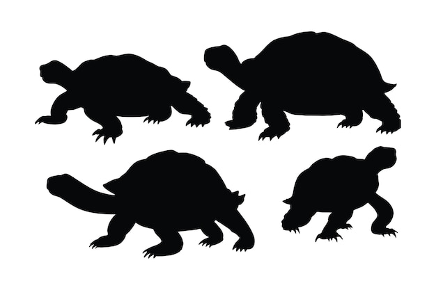 Vector criaturas marinas y reptiles como siluetas de tortugas sobre un fondo blanco colección de silueta de cuerpo completo de tortuga tortuga salvaje nadando en diferentes posiciones hermoso paquete de silueta de tortuga