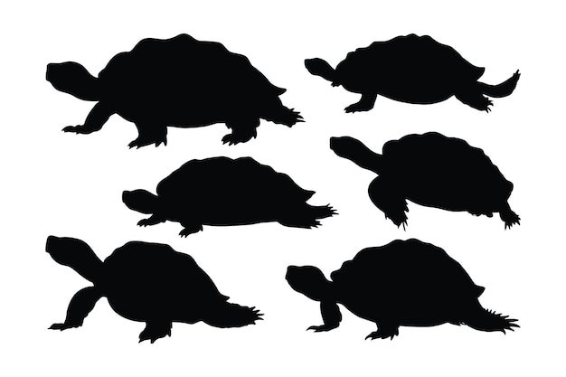 Vector criaturas marinas y reptiles como tortugas caminando en diferentes posiciones siluetas de tortugas salvajes de pie sobre un fondo blanco colección de siluetas de cuerpo completo de tortuga paquete de siluetas de tortugas salvajes