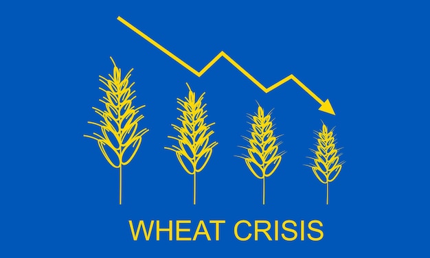 Crisis alimentaria Grano ucraniano Déficit de pan Conflicto ruso-ucraniano Símbolo agrícola Concepto de reducción de la cosecha de trigo en el contexto de la bandera ucraniana Crisis del trigo