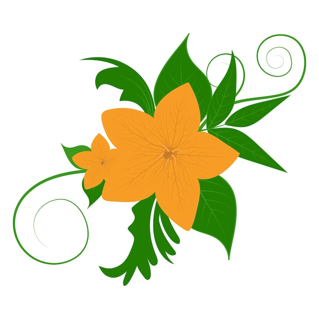 Crocus amarillo Hermoso aislado en gráficos vectoriales florales Flor colorida