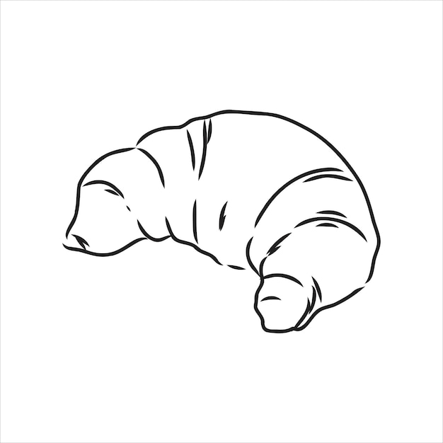 Croissant doodle, una ilustración de doodle de vector dibujado a mano de un croissant. dibujo vectorial de croissant