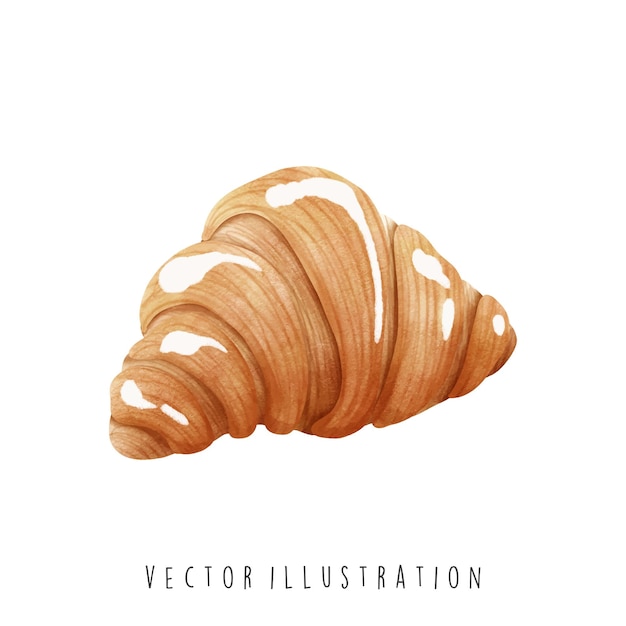 Vector croissant