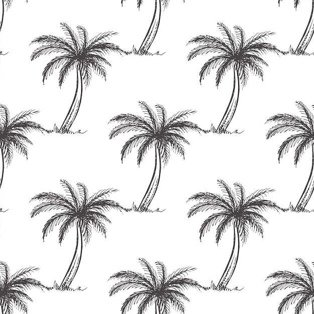 Croquis dibujados a mano de patrones sin fisuras de palmera