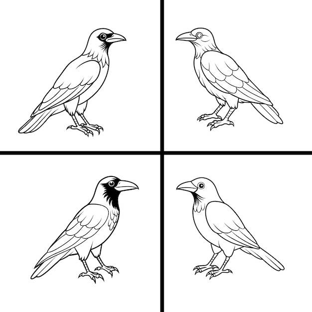 Crow Black Line Art Vector Illustration Bundle Set para proyectos de diseño únicos y elegantes