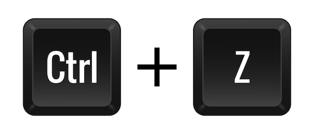 Ctrl z combinación de teclas control de teclado acortado de computadora portátil dispositivo de entrada funcional periférico introduzca el texto tipo de escritura teclas de acceso rápido lenguaje de diseño qwerty deshacer ilustración vectorial