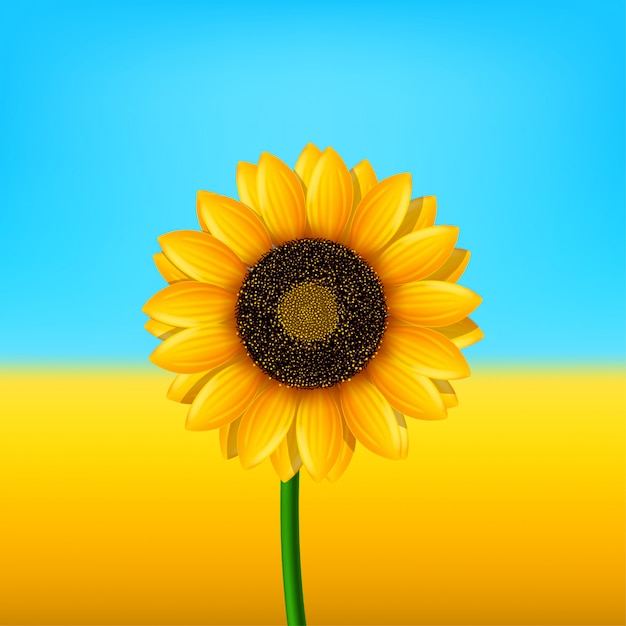 Cuadro de girasol