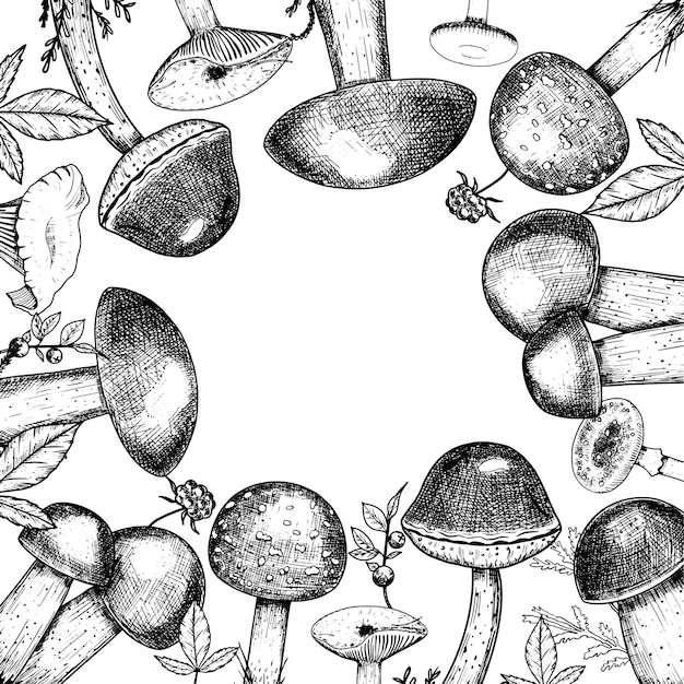 Cuadro con setas comestibles, bayas de agarica voladora, ilustración vectorial dibujada a mano