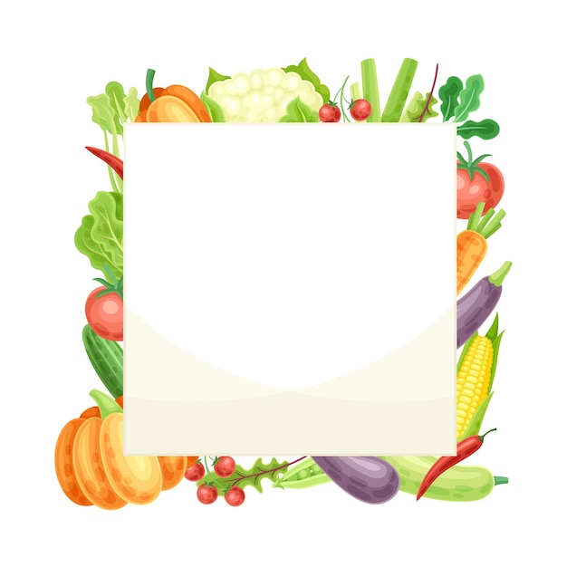 Cuadro de verduras cuadradas brillantes con ilustración vectorial de cultivos de jardín maduros y frescos