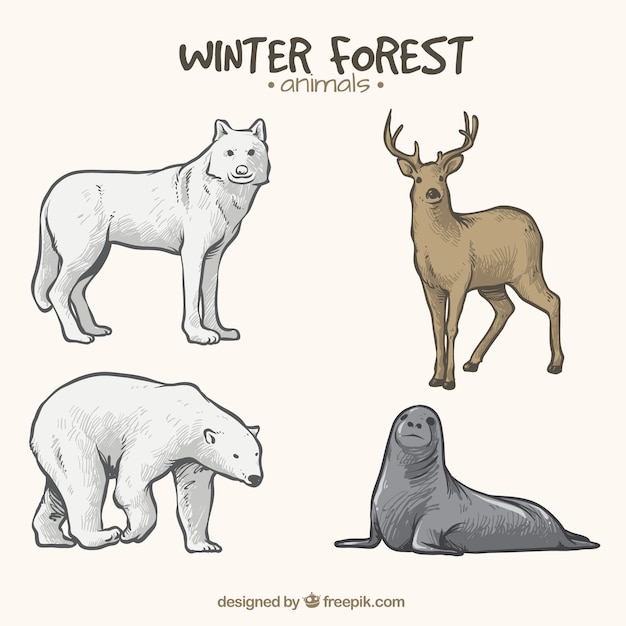 Cuatro animales invernales dibujados a mano 
