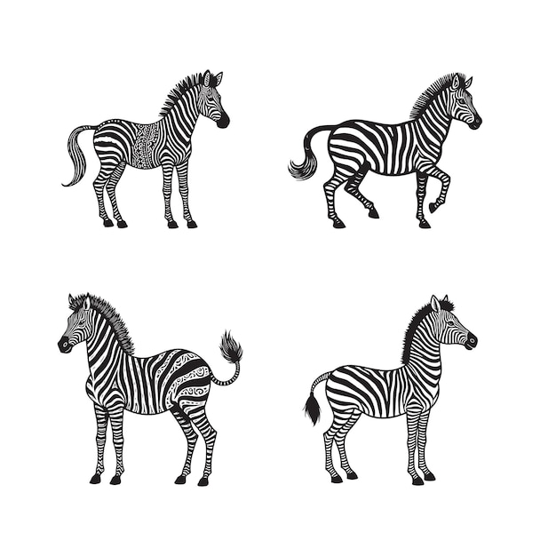 Cuatro cebras en diferentes posturas Una ilustración en blanco y negro