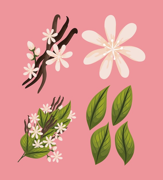 Cuatro elementos de la naturaleza