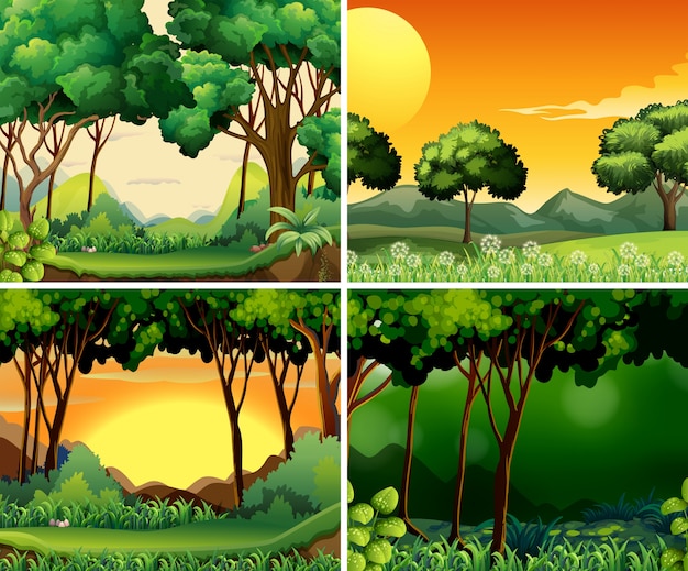 Cuatro escenas de bosque en día y noche