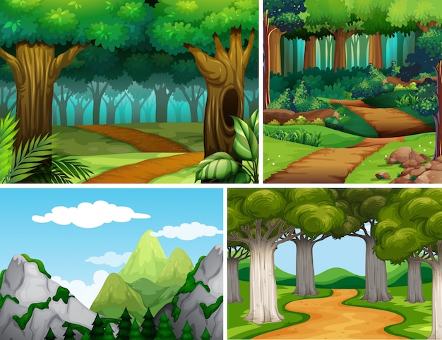 Vector cuatro escenas de naturaleza con bosque y montaña