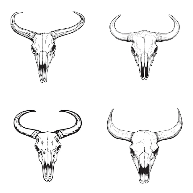 Cuatro ilustraciones detalladas de cráneos de toro con cuernos prominentes Conjunto de arte de cráneo de vaca de cuerno largo