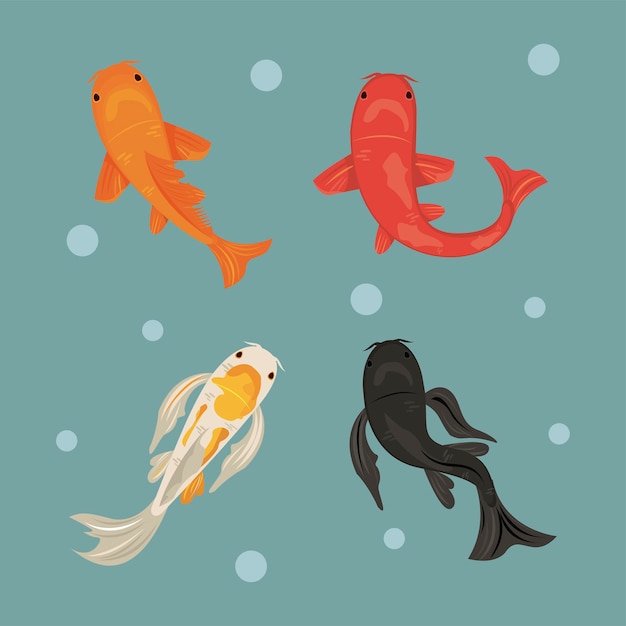 Vector cuatro peces koi