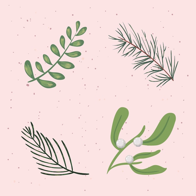Cuatro plantas de muérdago.