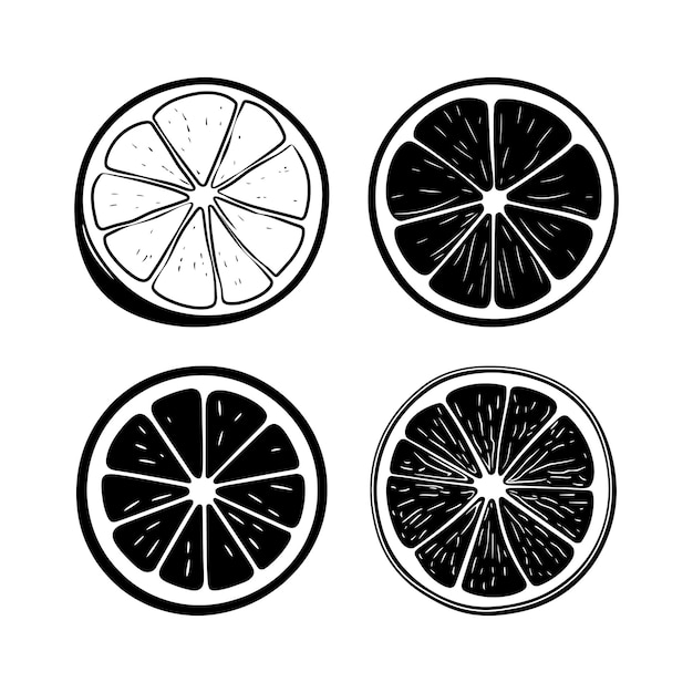 Cuatro rebanadas de cítricos en dibujo de tinta blanca y negra aisladas