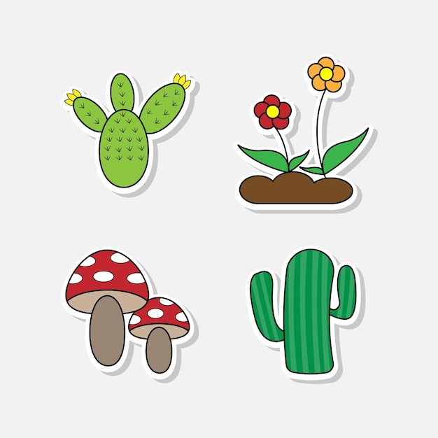 Cuatro tipos de plantas como cactus, flores, hongos