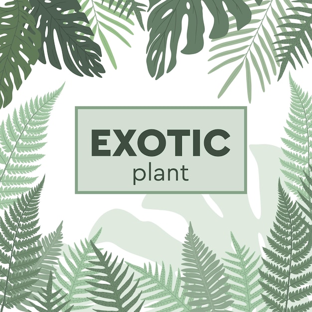 Cubrir con plantas exóticas. Helecho, palmera y monstera. hojas tropicales. Lista de monstruos. Ilustración vectorial