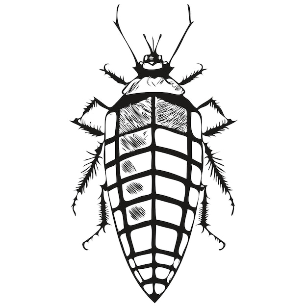 Cucaracha vintage ilustración blanco y negro vector arte cucarachas