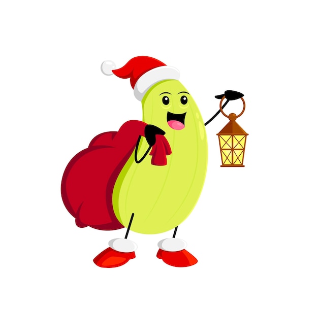 Cucchi vegetal de dibujos animados personaje de Papá Noel con linterna Feliz celebración de Navidad feliz año nuevo festivo o temporada de invierno lindo personaje vectorial de verduras vacaciones de Navidad cucchi personaje gracioso