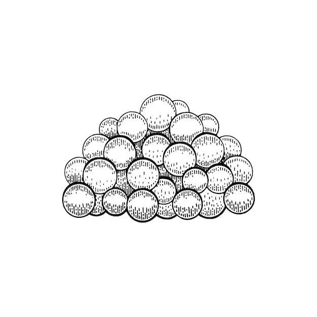 Cuchara de caviar Dibujo grabado Cuchara de madera de caviar Pala de cucharón de madera con huevos de salmón rojo