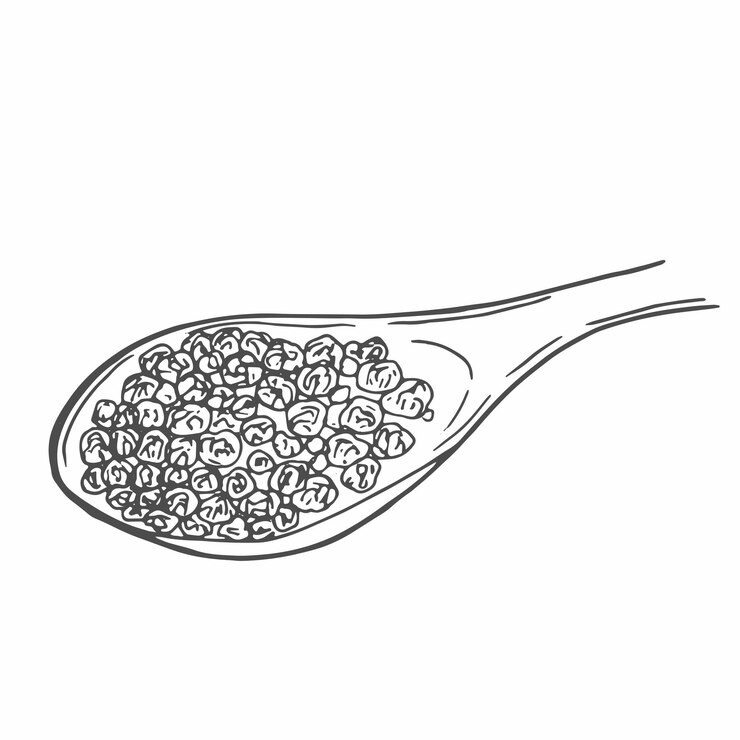 Vector cuchara de madera con pimienta negra dibujo vectorial dibujado a mano