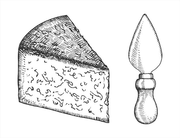 Vector cuchillo para dibujo a mano de vector de queso parmesano duro aislado