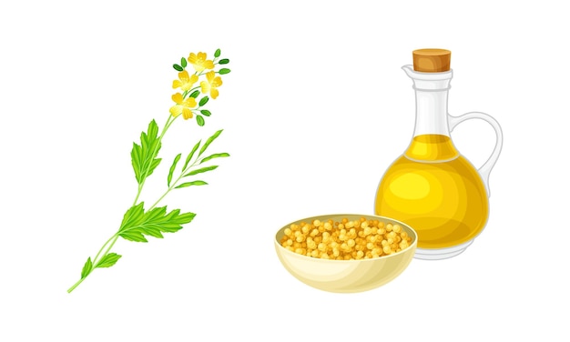 Cuenco de plantas de mostaza de semillas y aceite en jarro de vidrio conjunto vector de producto saludable orgánico natural