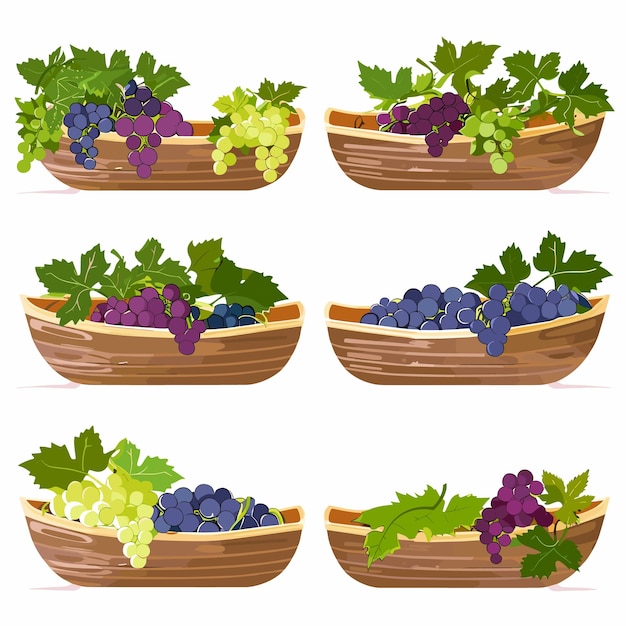 Cuencos de madera llenos de varias uvas de colores verde rojo púrpura acompañado de hojas de uva fresca