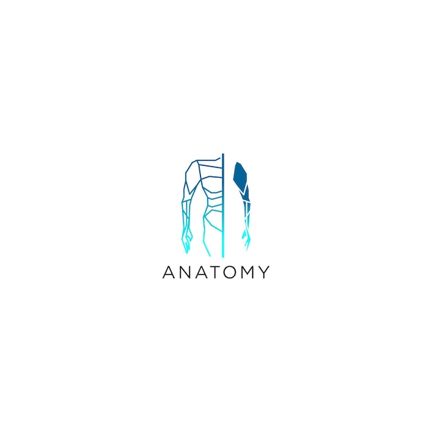 Cuerpo anatomía logo diseño icono vector