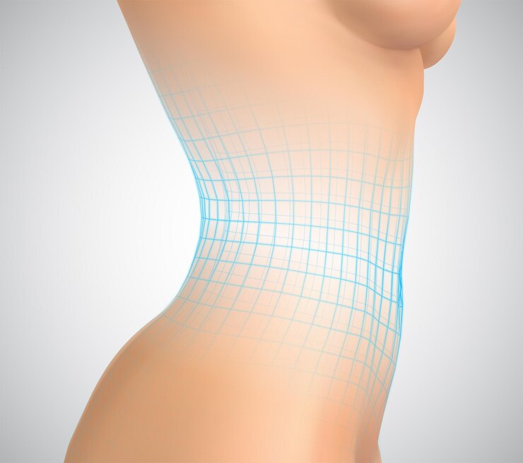 Vector cuerpo femenino de vector sobre una malla realista de foto de fondo blanco