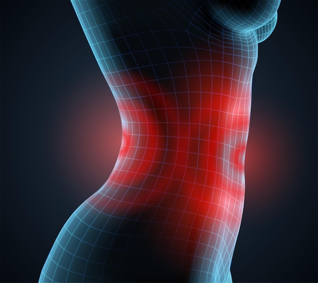 Cuerpo femenino vectorial sobre un fondo de color dolor en el abdomen y la espalda
