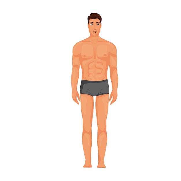 Cuerpo de hombre en ilustración de ropa interior