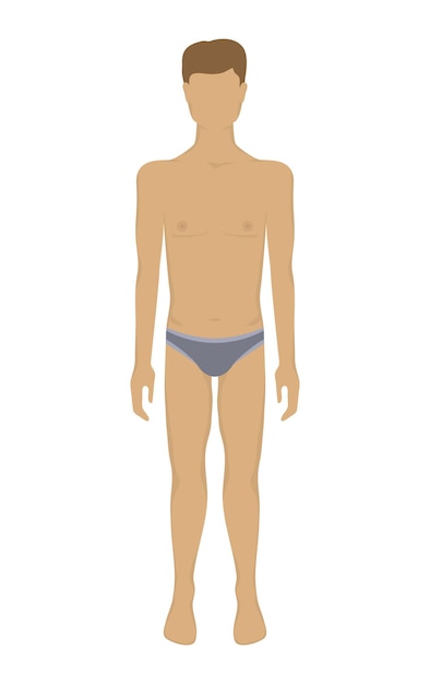 Vector cuerpo masculino vectorial en ropa interior