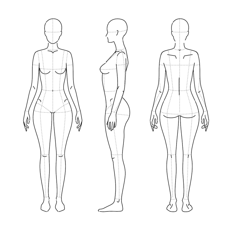 Vector cuerpo de mujer niña de pie de toda la longitud femenina diferentes figuras en postura ilustración de línea de moda