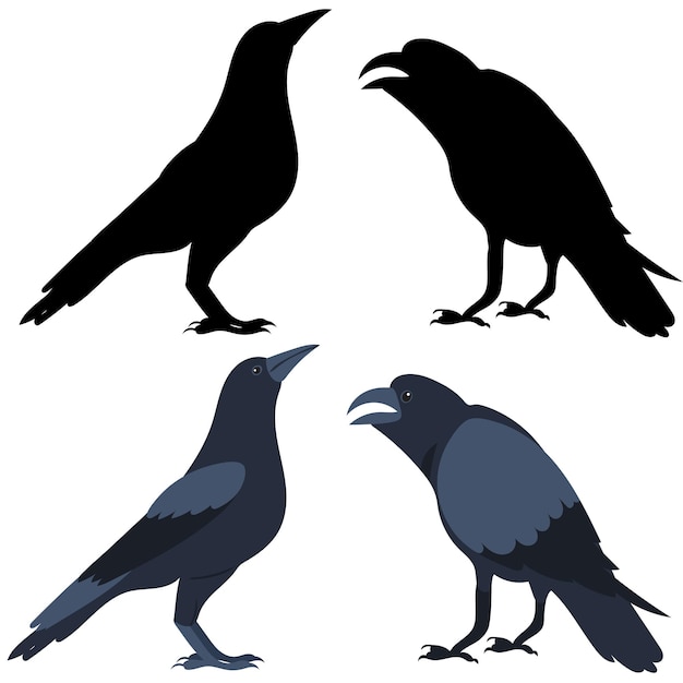 Cuervos en diseño plano aislado