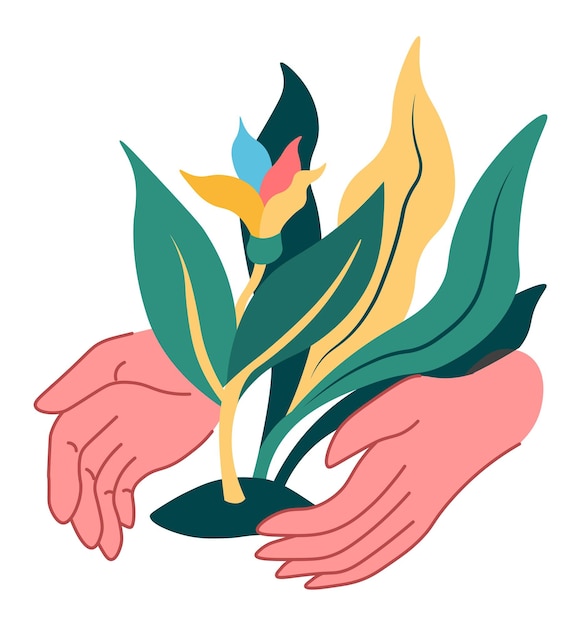 Cultivo de flores protección de la naturaleza y la ecología.