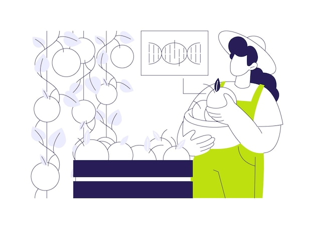 Cultivo de productos transgénicos concepto abstracto ilustración vectorial biotecnólogo con gen de verduras transgénicas